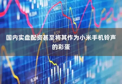 国内实盘配资甚至将其作为小米手机铃声的彩蛋