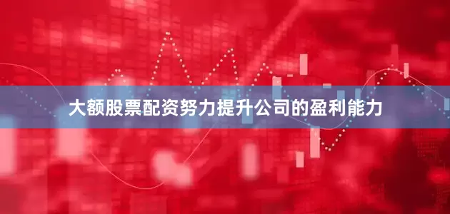 大额股票配资努力提升公司的盈利能力