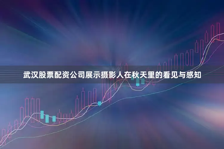 武汉股票配资公司展示摄影人在秋天里的看见与感知
